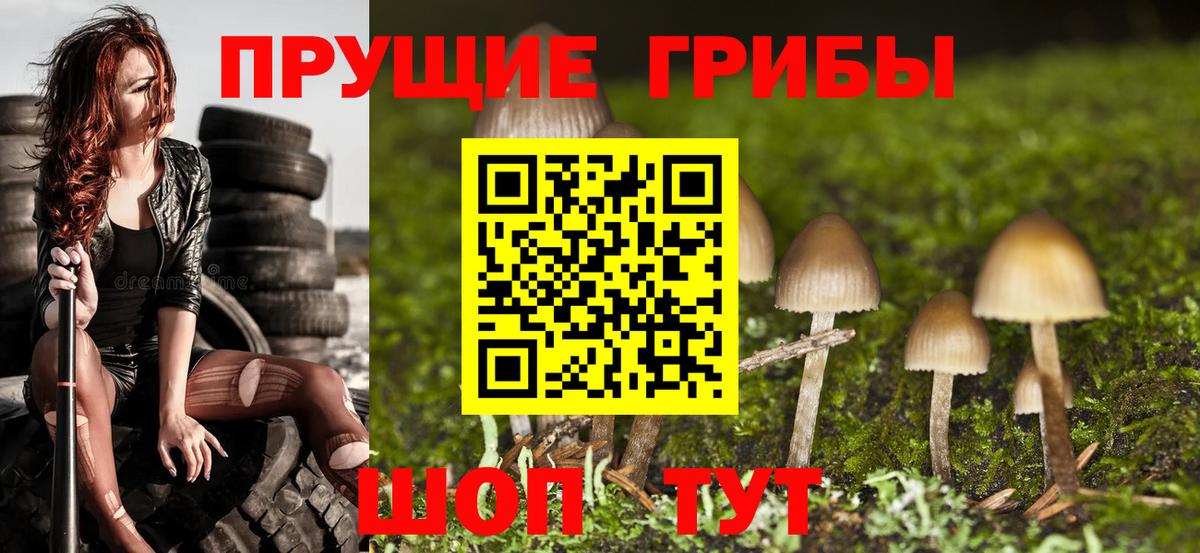 Галлюциногенные грибы мицелий Серов
